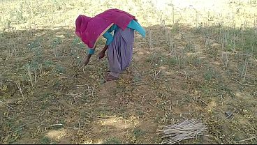 खूबसूरत ब्लोजॉब टीन वीडियो देखें