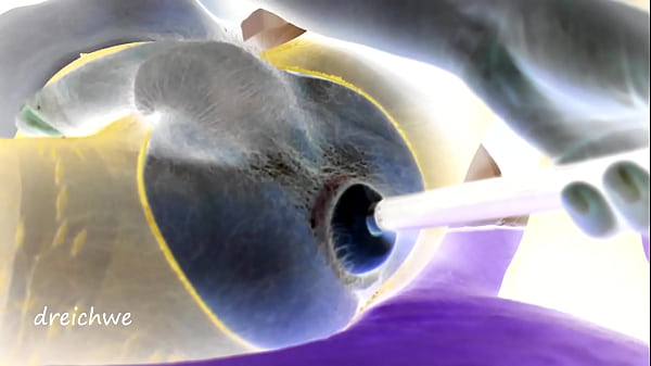 Ingoia tutto nel culo