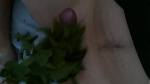 Tuổi teen đam mê tuyệt vời có niềm vui